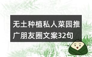 無土種植私人菜園推廣朋友圈文案32句