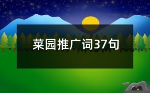 菜園推廣詞37句