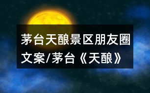 茅臺(tái)天釀景區(qū)朋友圈文案/茅臺(tái)《天釀》大型演出朋友圈文案39句