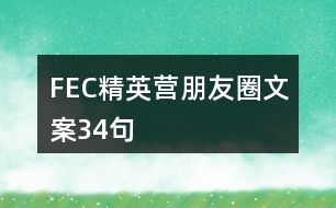 FEC精英營(yíng)朋友圈文案34句