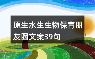 原生水生生物保育朋友圈文案39句