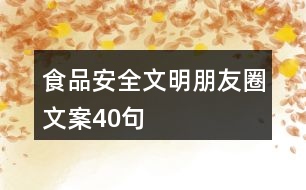 食品安全文明朋友圈文案40句