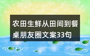 農(nóng)田生鮮從田間到餐桌朋友圈文案33句