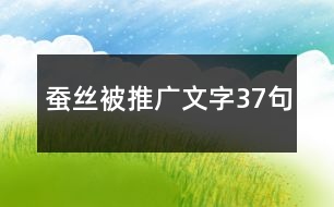 蠶絲被推廣文字37句