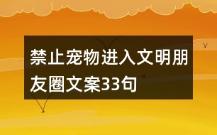 禁止寵物進入文明朋友圈文案33句