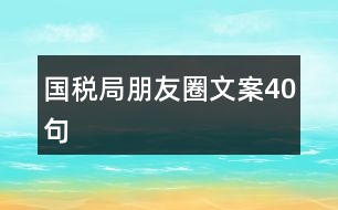 國(guó)稅局朋友圈文案40句