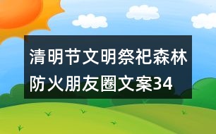 清明節(jié)文明祭祀、森林防火朋友圈文案34句