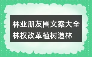 林業(yè)朋友圈文案大全：林權(quán)改革、植樹(shù)造林朋友圈文案36句