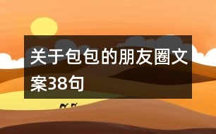 關于包包的朋友圈文案38句