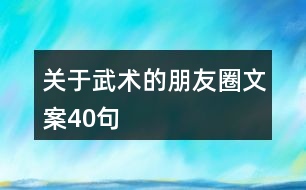 關(guān)于武術(shù)的朋友圈文案40句