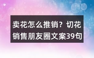 賣花怎么推銷？切花銷售朋友圈文案39句