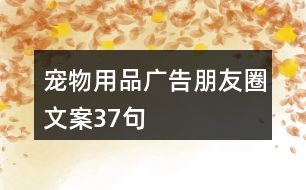 寵物用品廣告朋友圈文案37句