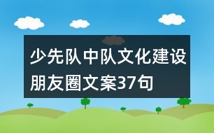 少先隊中隊文化建設(shè)朋友圈文案37句