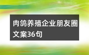 肉鴿養(yǎng)殖企業(yè)朋友圈文案36句