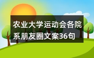 農(nóng)業(yè)大學(xué)運(yùn)動會各院系朋友圈文案36句