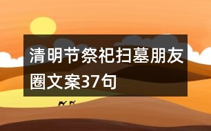 清明節(jié)祭祀、掃墓朋友圈文案37句