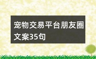 寵物交易平臺(tái)朋友圈文案35句