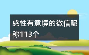 感性有意境的微信昵稱113個