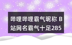 嗶哩嗶哩霸氣昵稱 B站網(wǎng)名霸氣十足285個