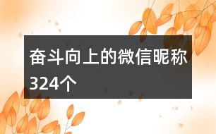 奮斗向上的微信昵稱324個