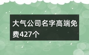 大氣公司名字高端免費427個