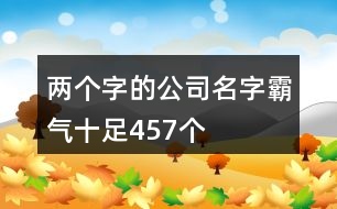 兩個字的公司名字霸氣十足457個