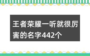 王者榮耀一聽(tīng)就很厲害的名字442個(gè)