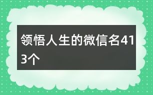 領悟人生的微信名413個