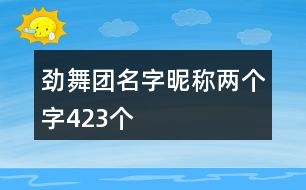 勁舞團(tuán)名字昵稱兩個字423個