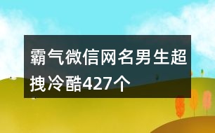 霸氣微信網(wǎng)名男生超拽冷酷427個