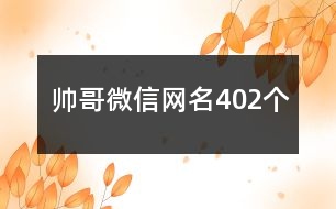 帥哥微信網(wǎng)名402個(gè)