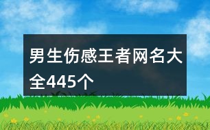 男生傷感王者網(wǎng)名大全445個(gè)