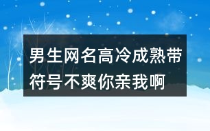 男生網名高冷成熟帶符號—不爽你親我啊390個