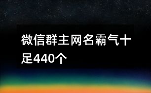 微信群主網(wǎng)名霸氣十足440個(gè)