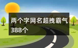 兩個字網(wǎng)名超拽霸氣388個