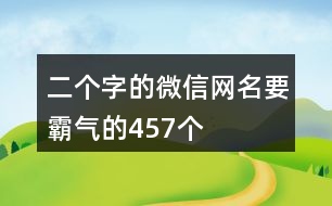 二個字的微信網(wǎng)名要霸氣的457個