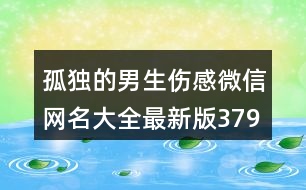 孤獨(dú)的男生傷感微信網(wǎng)名大全最新版379個(gè)