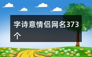 字詩意情侶網名373個