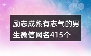 勵志成熟有志氣的男生微信網名415個