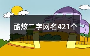 酷炫二字網名421個