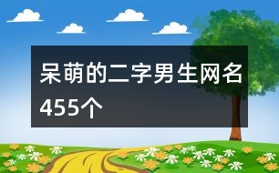 呆萌的二字男生網名455個