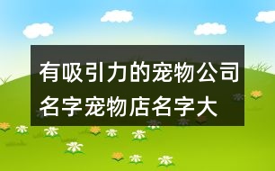 有吸引力的寵物公司名字,寵物店名字大全簡(jiǎn)單好記381個(gè)