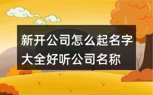 新開公司怎么起名字大全,好聽公司名稱大全免費373個