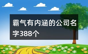 霸氣有內(nèi)涵的公司名字388個(gè)