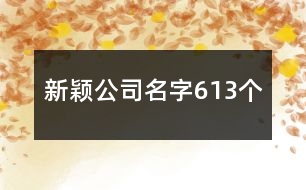 新穎公司名字613個