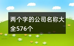 兩個(gè)字的公司名稱大全576個(gè)