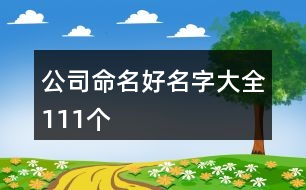 公司命名好名字大全111個(gè)