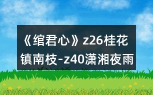 《綰君心》z26桂花鎮(zhèn)南枝-z40瀟湘夜雨攻略