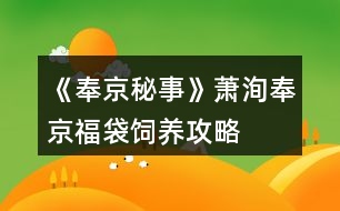 《奉京秘事》蕭洵奉京福袋飼養(yǎng)攻略