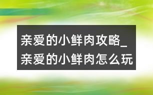 親愛的小鮮肉攻略_親愛的小鮮肉怎么玩